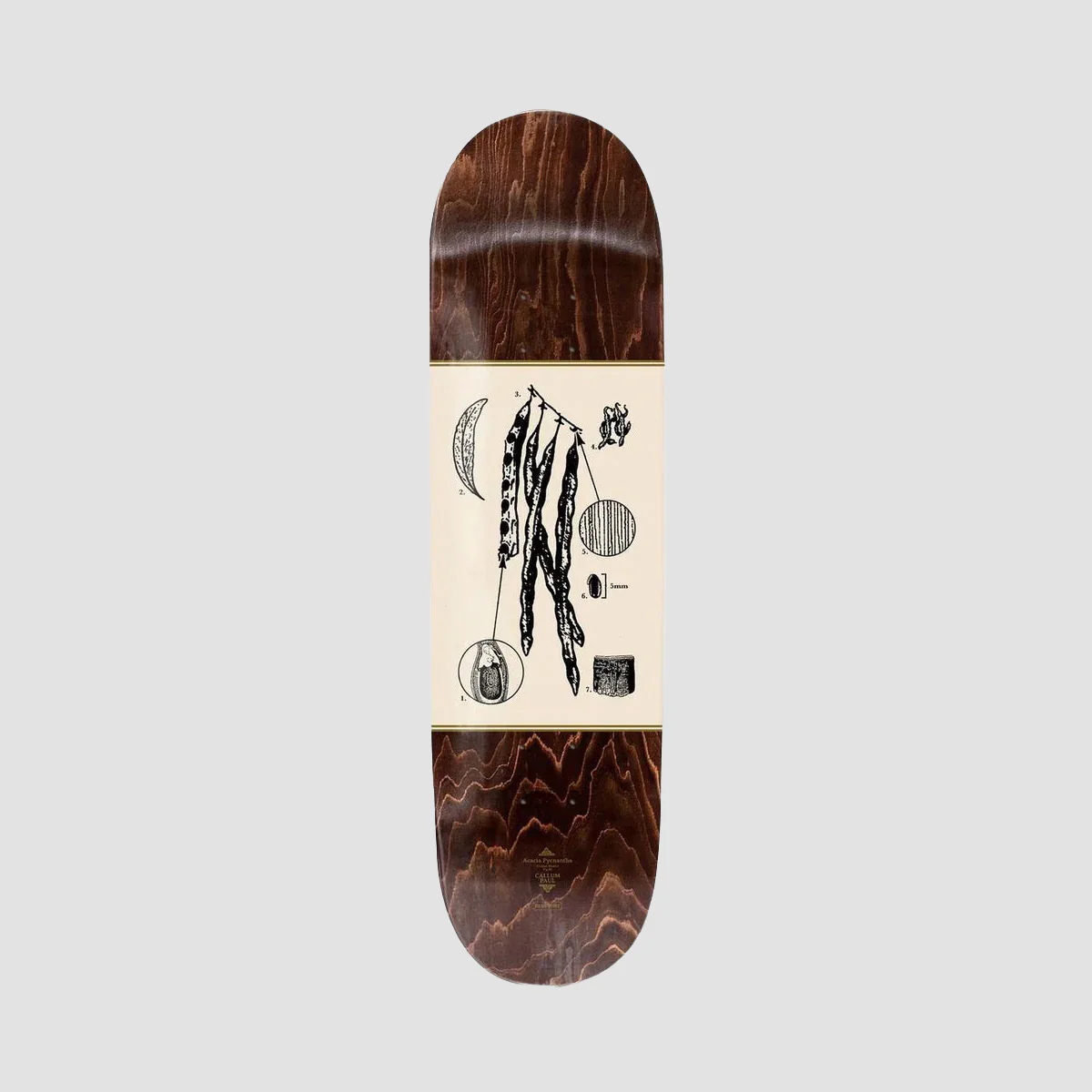 PASS-PORT Pro Series Callum Acacia Skateboard Deck - 8.25"