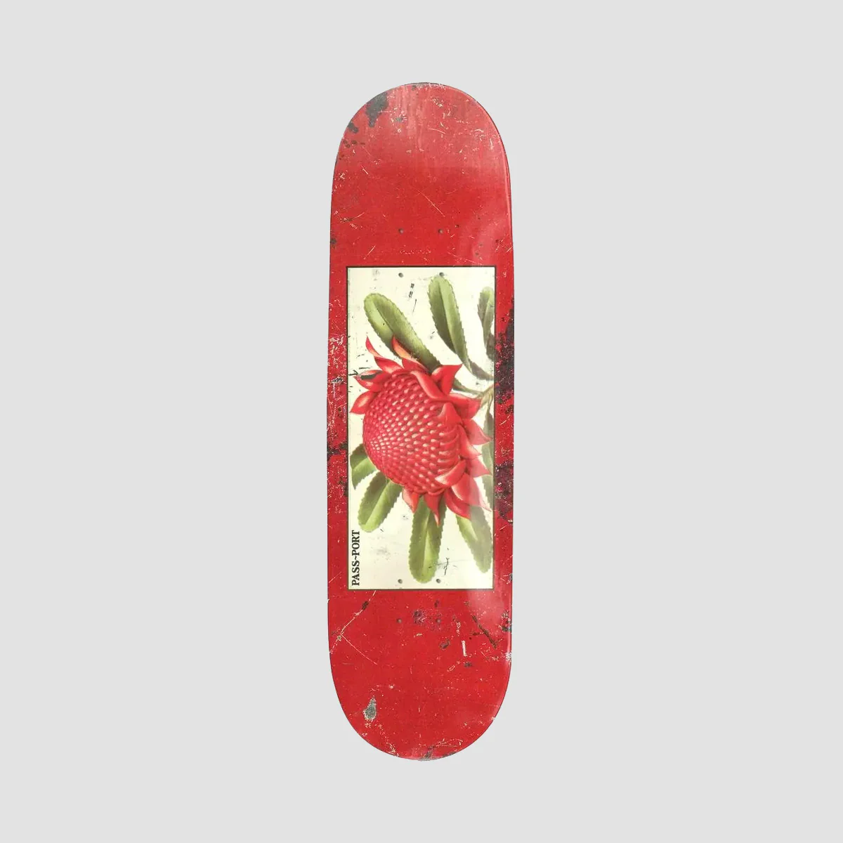 PASS-PORT Tin Floral Series Waratah Skateboard Deck Red - 8"